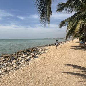 8BDFB3E7-906E-4460-BBD7-60694DE4D3EF_1_105_c