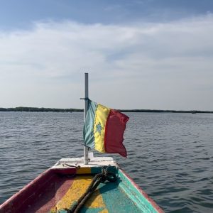 8E63EA3C-C68A-4785-A7D9-613B11965D2B_1_102_o