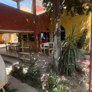 F4154ED4-C9FA-4C83-87F7-01EC6B3EBABA_1_105_c